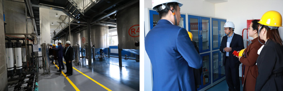 1618082443162817.jpg nn3.jpg